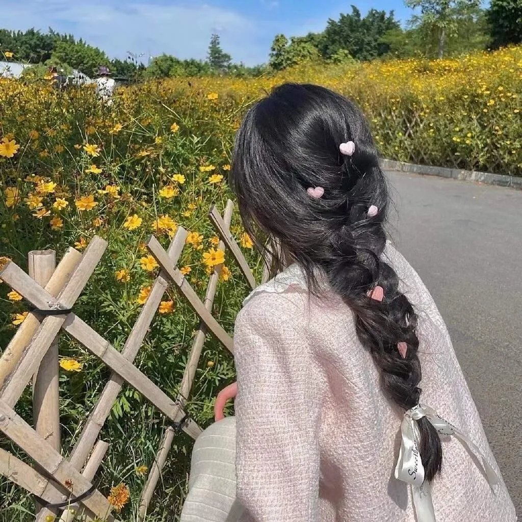 三只流浪猫